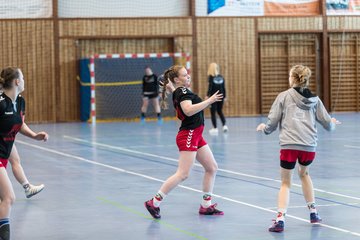 Bild 1 - F HSG Kre/Mue - HFF Munkbrarup : Ergebnis: 49:20